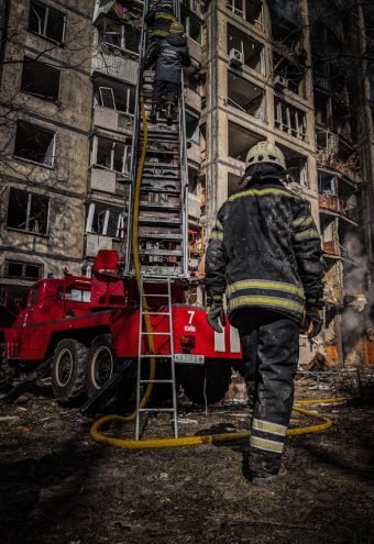 pexels-stefits-11489910